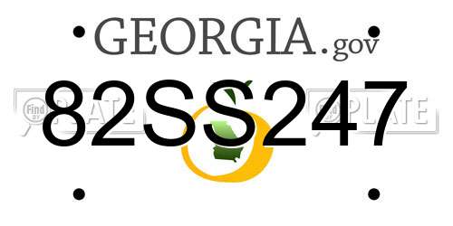 82SS247 Georgia License Plate