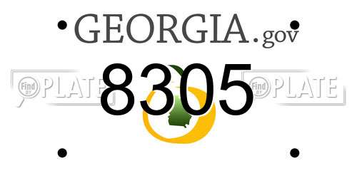 8305 Georgia License Plate