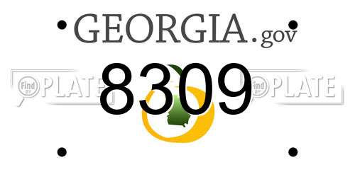 8309 Georgia License Plate