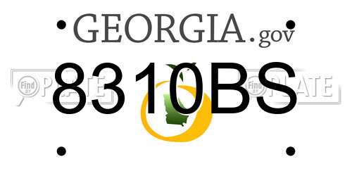 8310BS Georgia License Plate