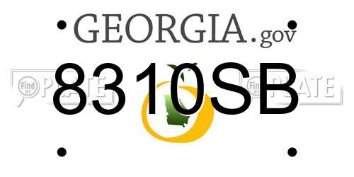 8310SB Georgia License Plate