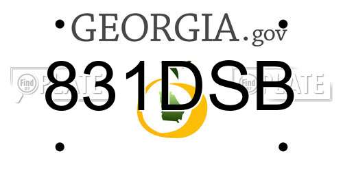 831DSB Georgia License Plate