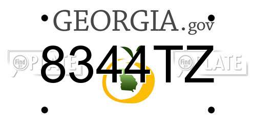 8344TZ Georgia License Plate
