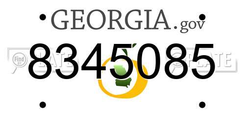 8345085 Georgia License Plate