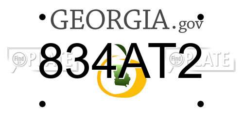 834AT2 Georgia License Plate
