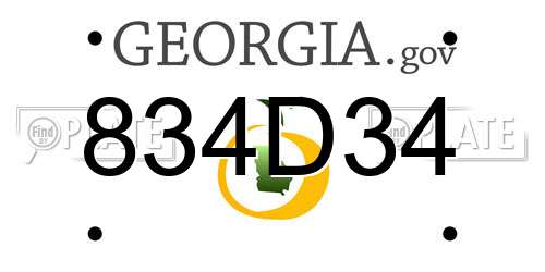 834D34 Georgia License Plate