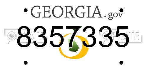 8357335 Georgia License Plate
