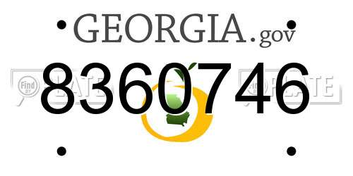 8360746 Georgia License Plate