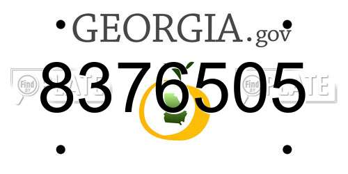 8376505 Georgia License Plate