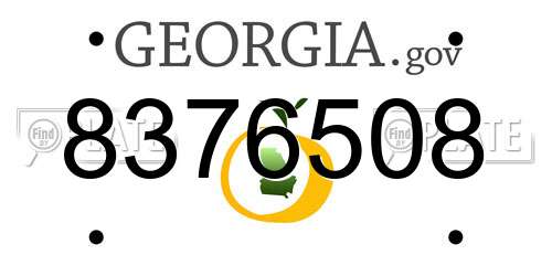 8376508 Georgia License Plate