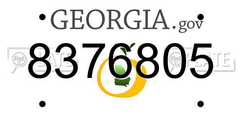 8376805 Georgia License Plate