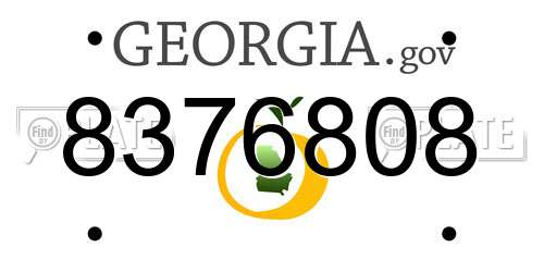 8376808 Georgia License Plate