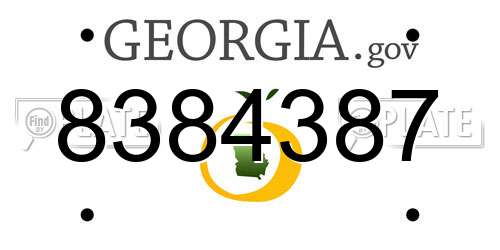 8384387 Georgia License Plate