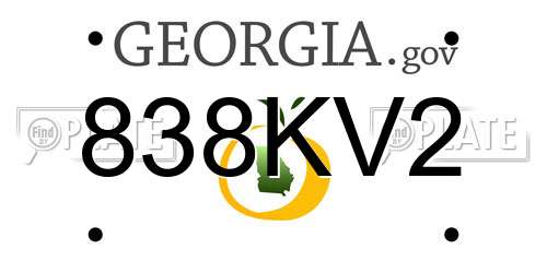 838KV2 Georgia License Plate