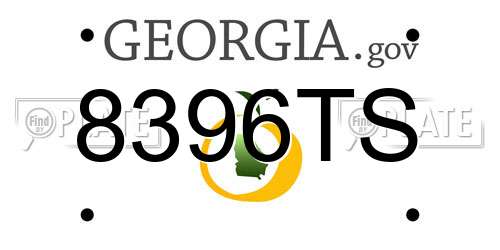8396TS Georgia License Plate