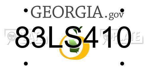 83LS410 Georgia License Plate