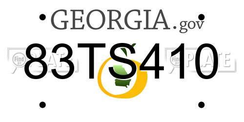 83TS410 Georgia License Plate