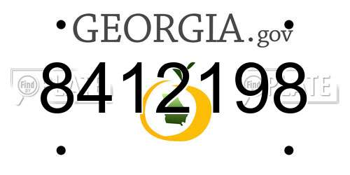 8412198 Georgia License Plate