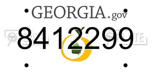 8412299 Georgia License Plate