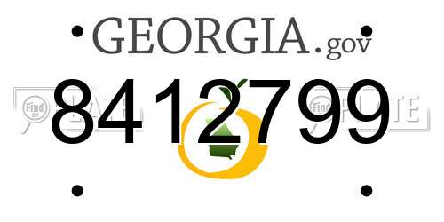 8412799 Georgia License Plate