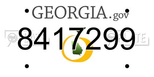 8417299 Georgia License Plate