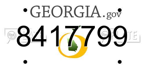 8417799 Georgia License Plate