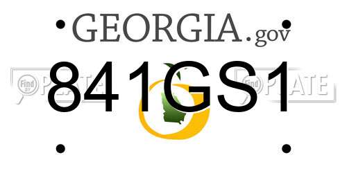 841GS1 Georgia License Plate