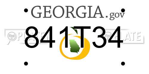 841T34 Georgia License Plate