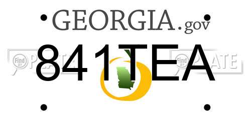 841TEA Georgia License Plate