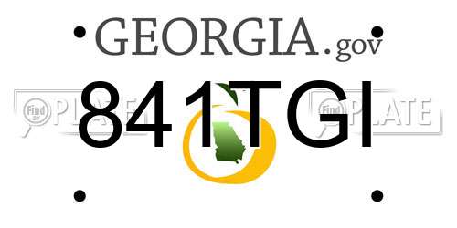 841TGI Georgia License Plate