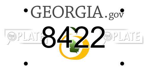 8422 Georgia License Plate