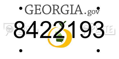 8422193 Georgia License Plate