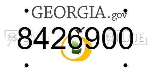 8426900 Georgia License Plate