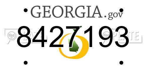 8427193 Georgia License Plate