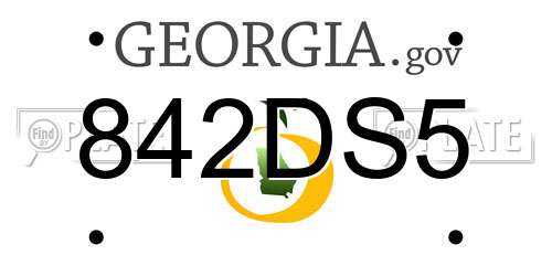 842DS5 Georgia License Plate