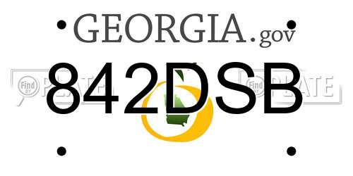 842DSB Georgia License Plate