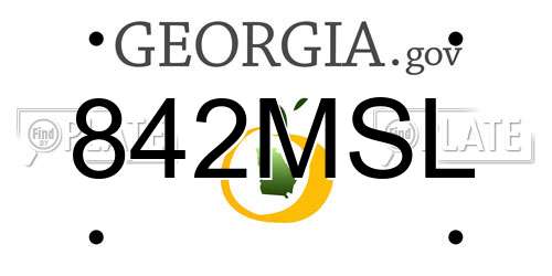 842MSL Georgia License Plate