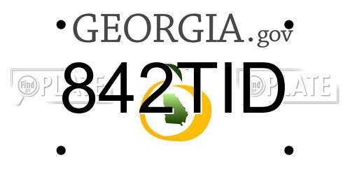 842TID Georgia License Plate
