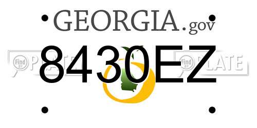 8430EZ Georgia License Plate