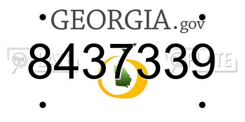8437339 Georgia License Plate
