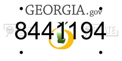 8441194 Georgia License Plate