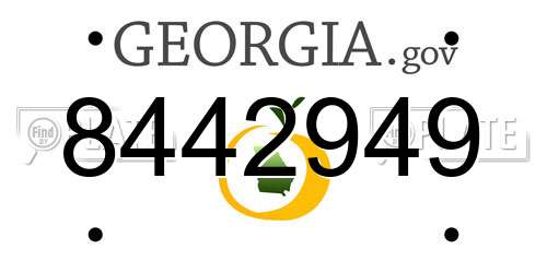 8442949 Georgia License Plate