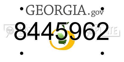 8445962 Georgia License Plate