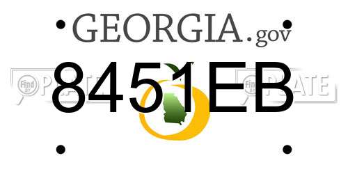 8451EB Georgia License Plate