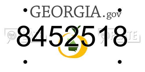 8452518 Georgia License Plate
