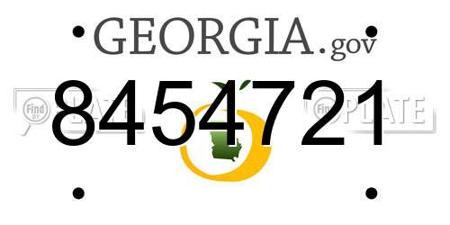 8454721 Georgia License Plate