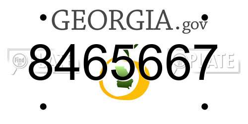 8465667 Georgia License Plate