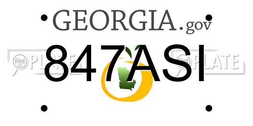 847ASI Georgia License Plate