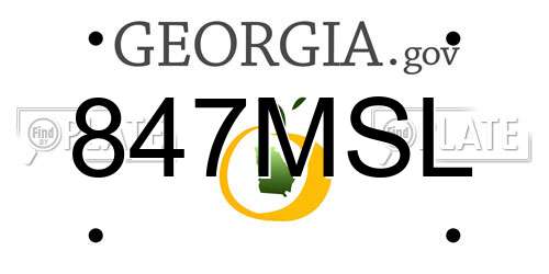 847MSL Georgia License Plate