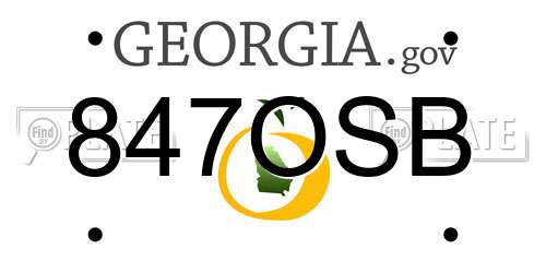 847OSB Georgia License Plate